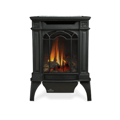 GDS20 Arlington Direct Vent Gas Stove