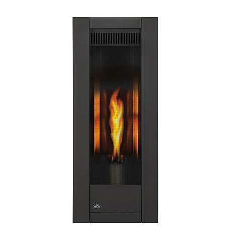 GT8 Torch Direct Vent Fireplace