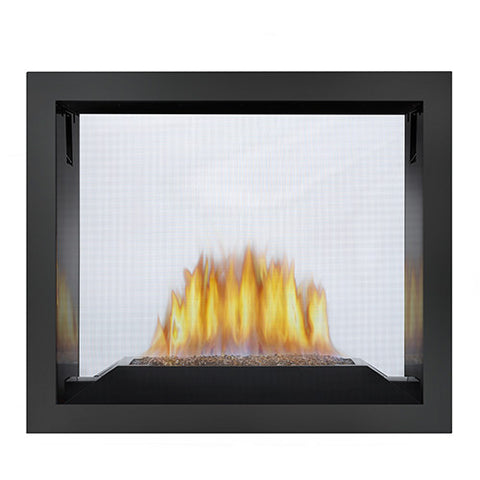 HD81 See-Thru Direct Vent Fireplace