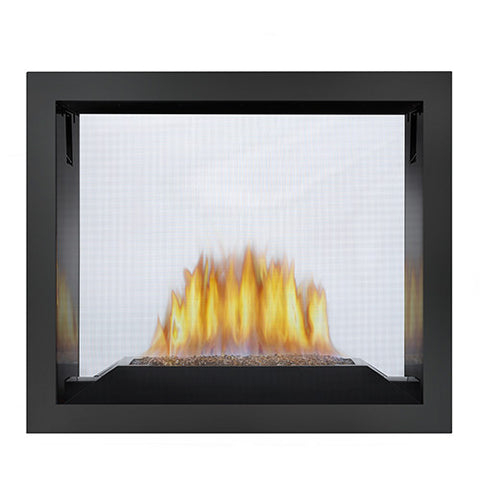HD81 See-Thru Direct Vent Fireplace